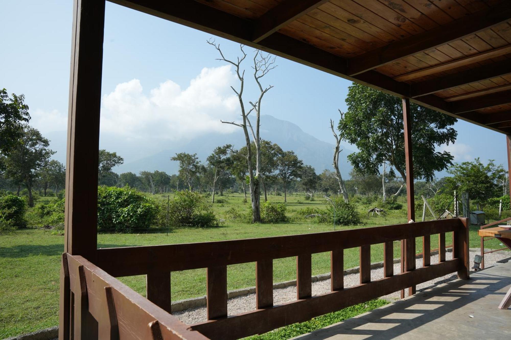 Labdhi Resorts Masinagudi- Stag Groups Not Allowed Buitenkant foto